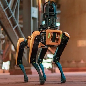 Cover of Autonomous Surveillance